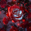 olivia_vieth